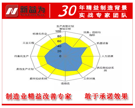 精益成熟度評定矩陣圖