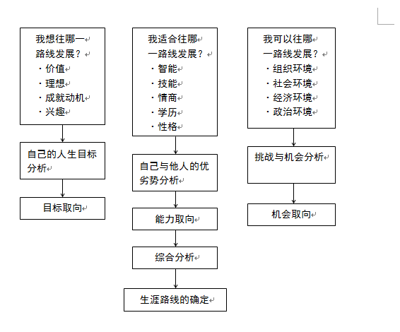 職業(yè)生涯路線(xiàn)分析過(guò)程圖